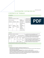 Tema 9. Suspension y Extincion Del Contrato de Trabajo