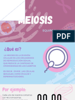 Meiosis Histologia