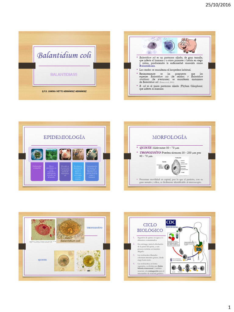 Balantidium Coli M2S2 | PDF | Especialidades Medicas | Enfermedades y ...