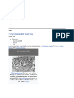 Neuromuscular Junction