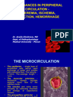 1.3. Disturbances in Peripheral Circulation 1 - 2016