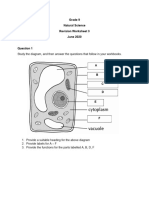 GR 9 NS Cell Worksheet