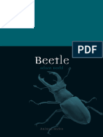 Beetle (Adam Dodd)