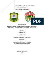 Agrotecnia Informe 6 Sustratos Castillo Jara