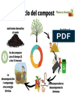 Ciclo Del Compost