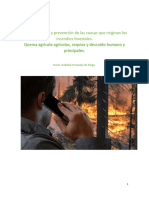 Concientización y Prevención de Las Causas Que Originan Los Incendios Forestales.