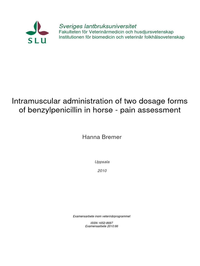 bremer_PENICILIN PROCAINE IN HORSES PDF Allergy Penicillin