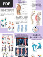 Guía de Higiene de Columna | PDF | La columna vertebral