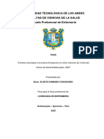 Factores Asociados A La Anemia Ferropénica - Damiano Chilingano - Gladys