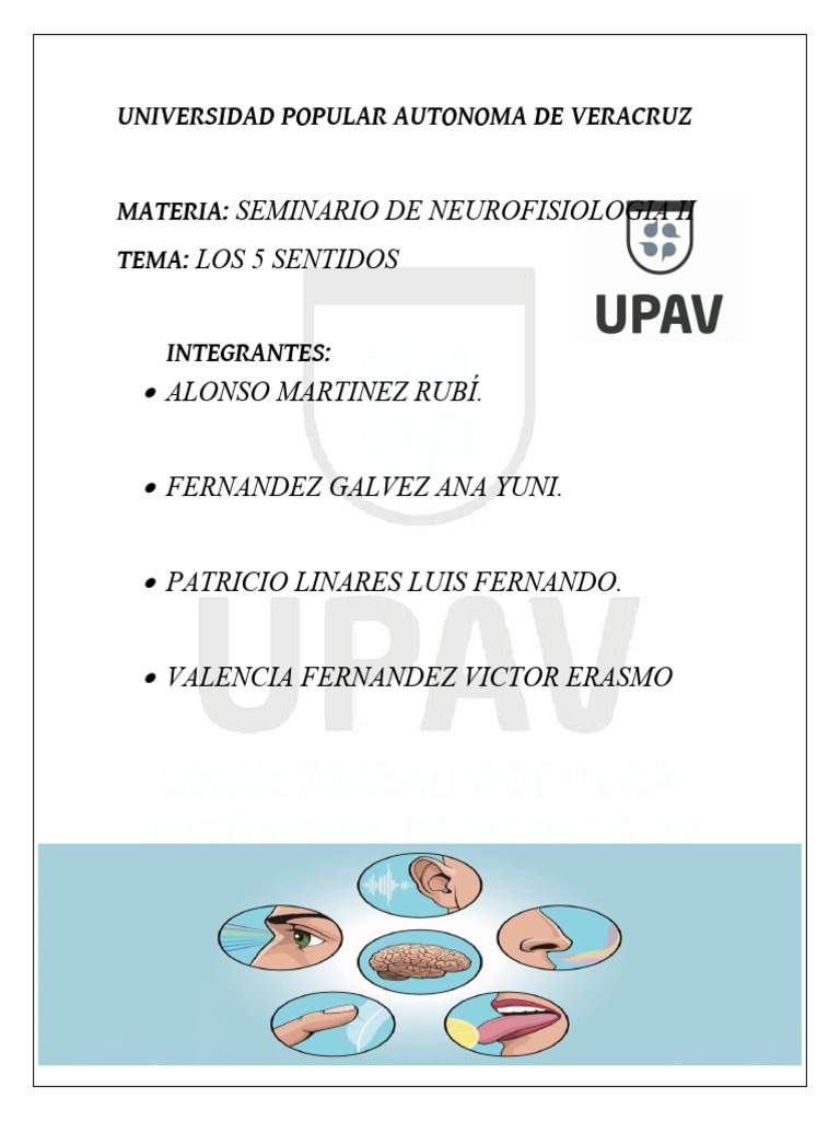 Cinco Sentidos Neuro Pdf Percepción Visual Gusto