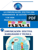 Comunicacion Profundizacion