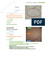 Preparados 2 Histología