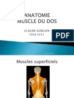 Anatomie Dos