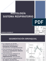 HISTOLOGIA SISTEMA RESPIRATORIO - Parte 2 - Con Imagenes