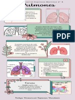 Infografía Pulmones