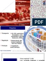 Profa. Dra. Giciane Carvalho Vieira Ccs - Dmorf