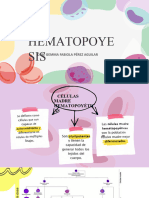 Clase Hematopoyesis