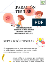 Reparacion Tisular