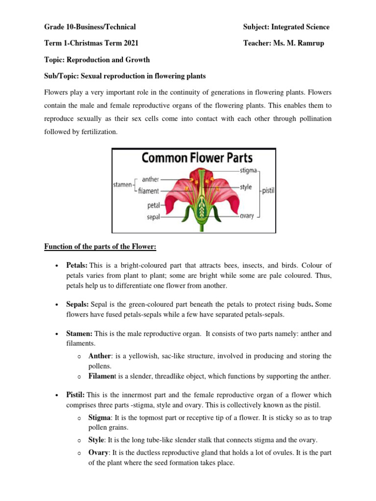 Sexual Reproduction in Flowering Plants | PDF | Seed | Flowers