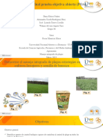 Tarea 6 - Aporte Individual - Wilmer Argote - Grupo 36.