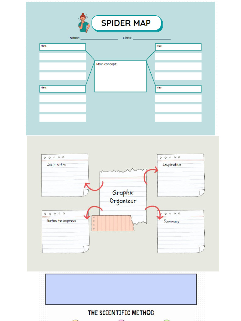 Organizador Visual (Modelos) | PDF
