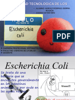 Harold Rodrigo Echerichia Coli