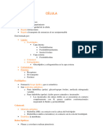 CÉLULA Último PDF