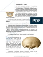 Osteologia - Huesos Craneo