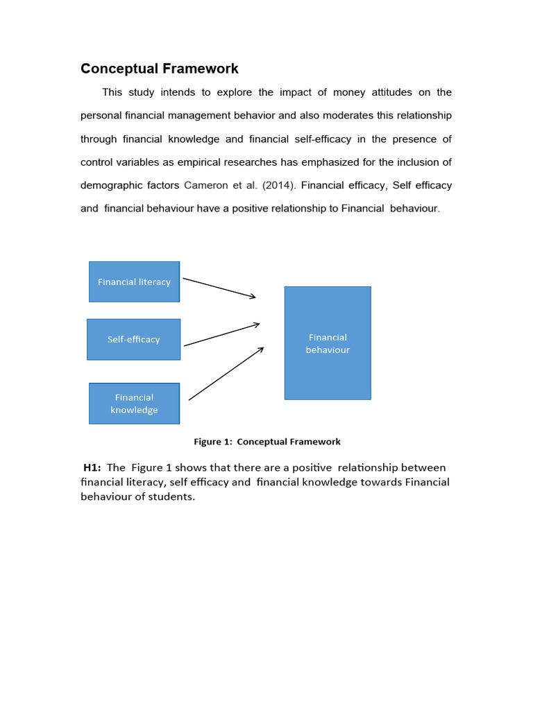 Financial Literacy and Student Behavior Framework | PDF | Science ...