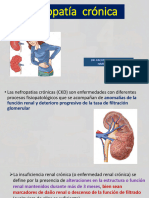 Para Final - Nefropatia Cronica - 2022
