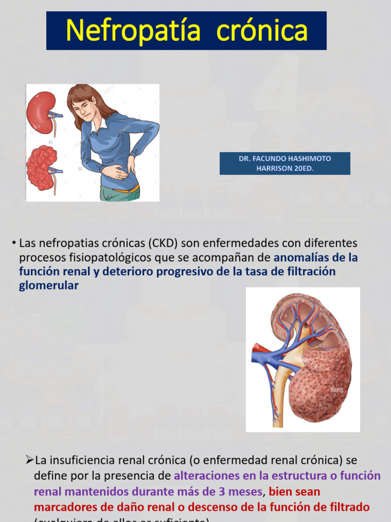 Para Final - Nefropatia Cronica - 2022 | PDF | Enfermedad renal crónica ...