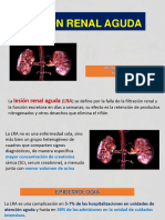 P2 - Clase 09 - Lesión Renal Aguda 2022 - 231026 - 160448