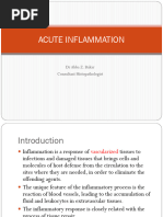 Acute Inflammation