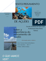 Relatorio Sobreaula Pratica de Peixamento