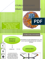 Proteinas y Aminoacidos Diapositivas 2
