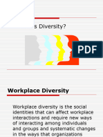 What Is Diversity