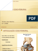 Articulação Coxo-Femural 2