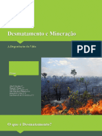 Desmatamento e Mineração (Slides)