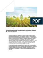 Neves - Resiliência Planejada No Agronegócio Brasileiro, As Lições de Três Economistas