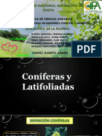 Coniferas y Latifoliadas