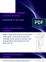 07 - The Bladder Channel of Foot Taiyang