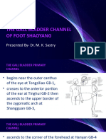 11 - The Gall Bladder Channel of Foot Shaoyang