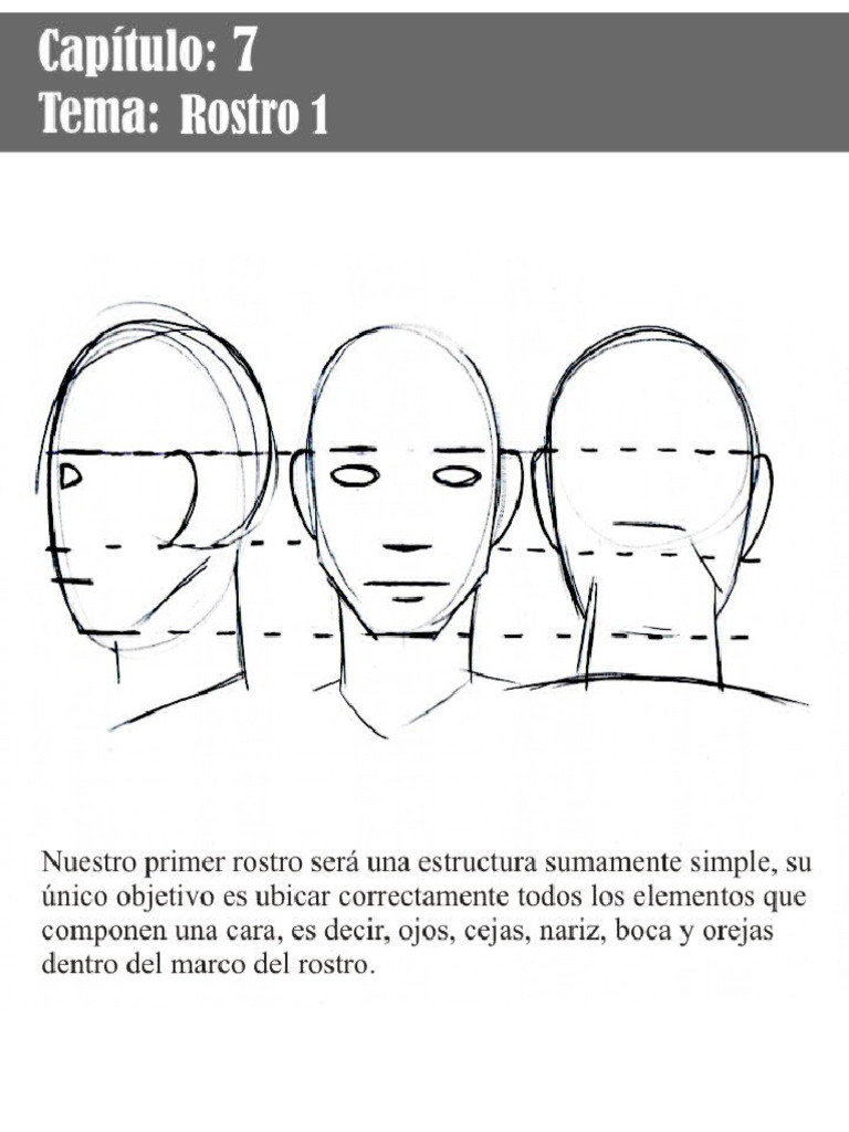 Esquemas 7 Rostro1 | PDF