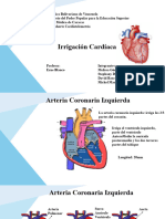 Cardiotelemetria 2 1