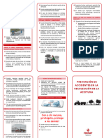 Prevencion de Accidentes en Recogida de Aceituna