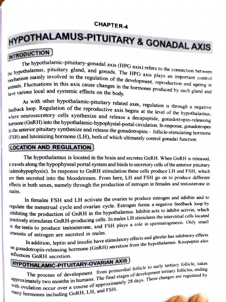 Hypothalamus Pituitary and Gonad Axis | PDF | Luteinizing Hormone ...