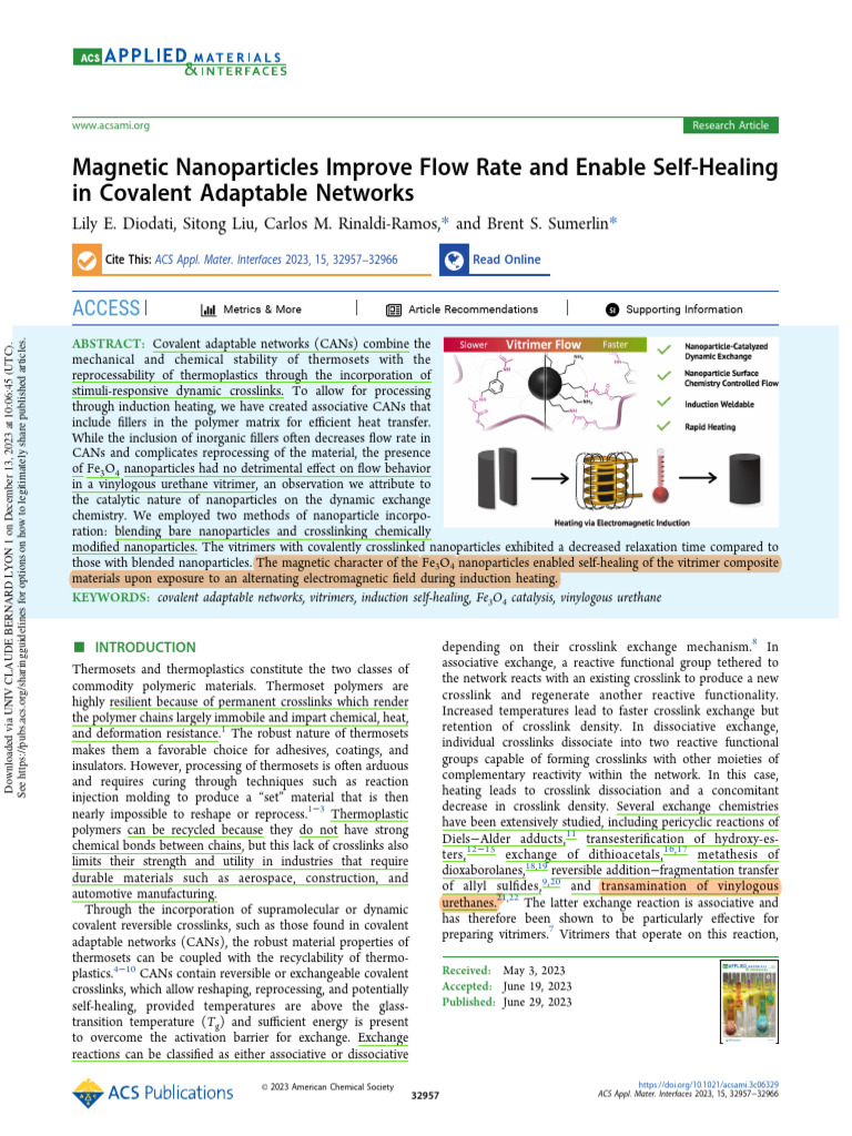 Diodati et al acs appl mater interfaces 2023 magnetic nanoparticles