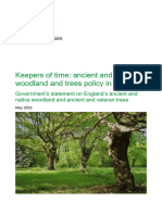 Keepers of Time Woodlands and Trees Policy England