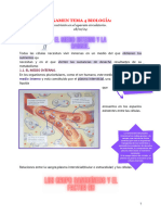 Biología Tema 4 Apuntes