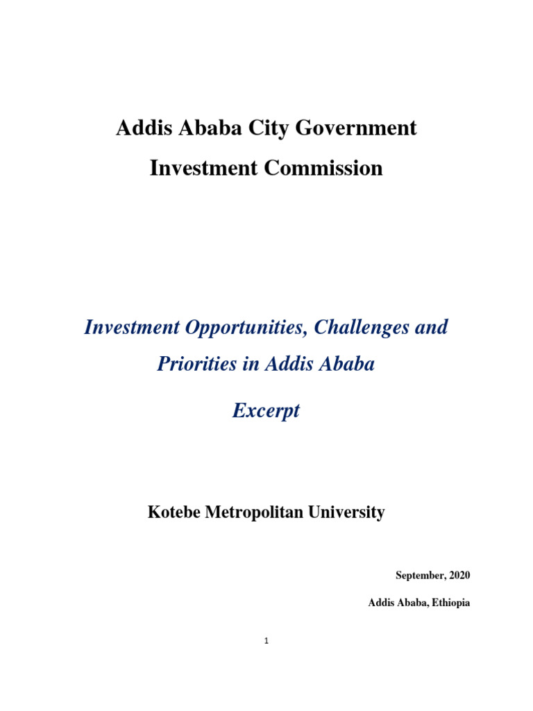 Addis Ababa Investment PDF